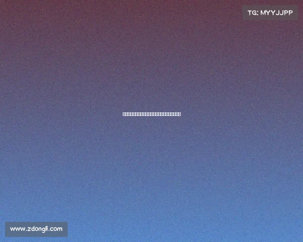 斯图加特与阿森纳就法比奥维埃拉转会事宜展开接触